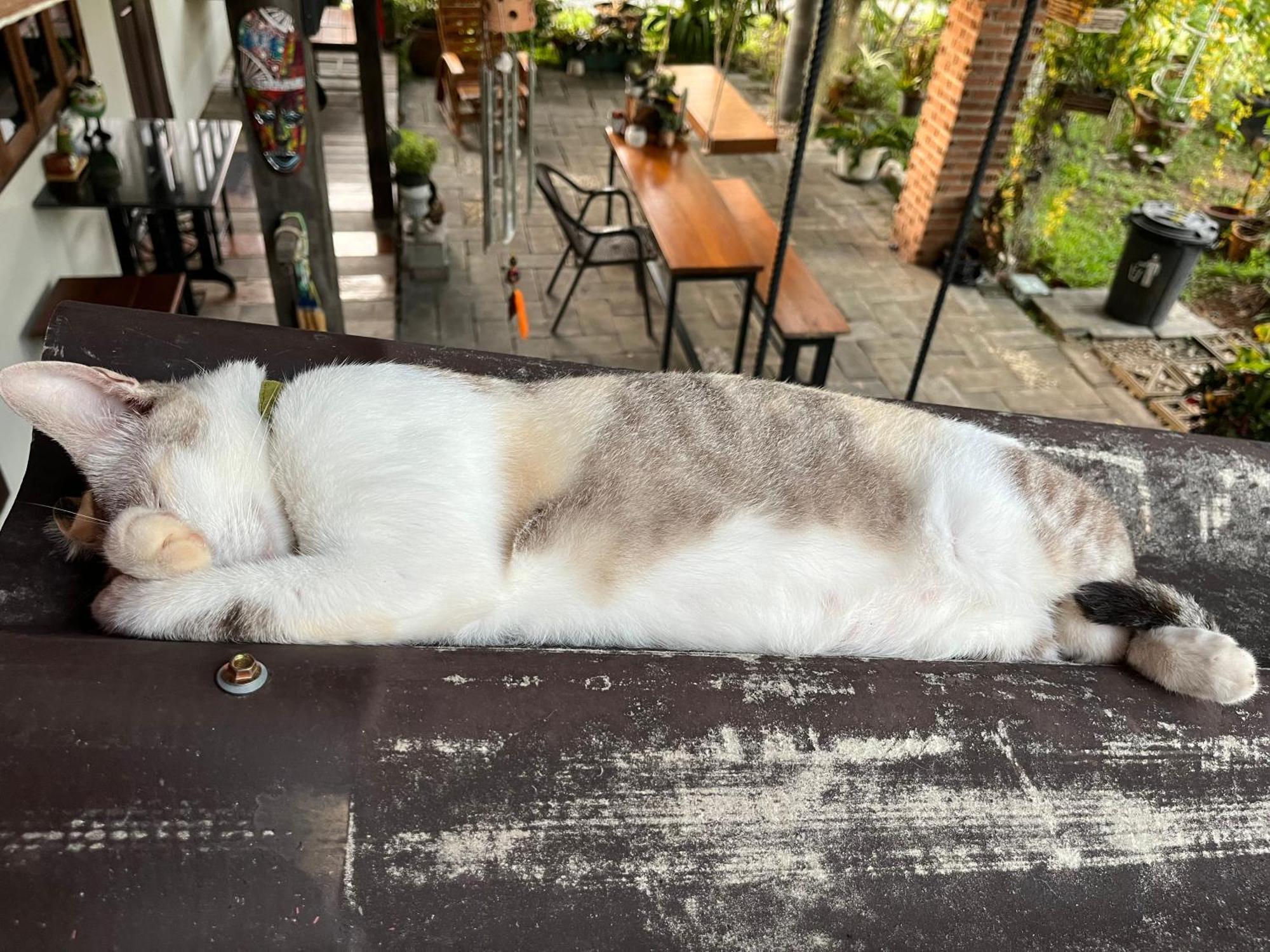 ครูหนูบ้านพัก แหลมงอบ Krunou Baanpak トラート エクステリア 写真