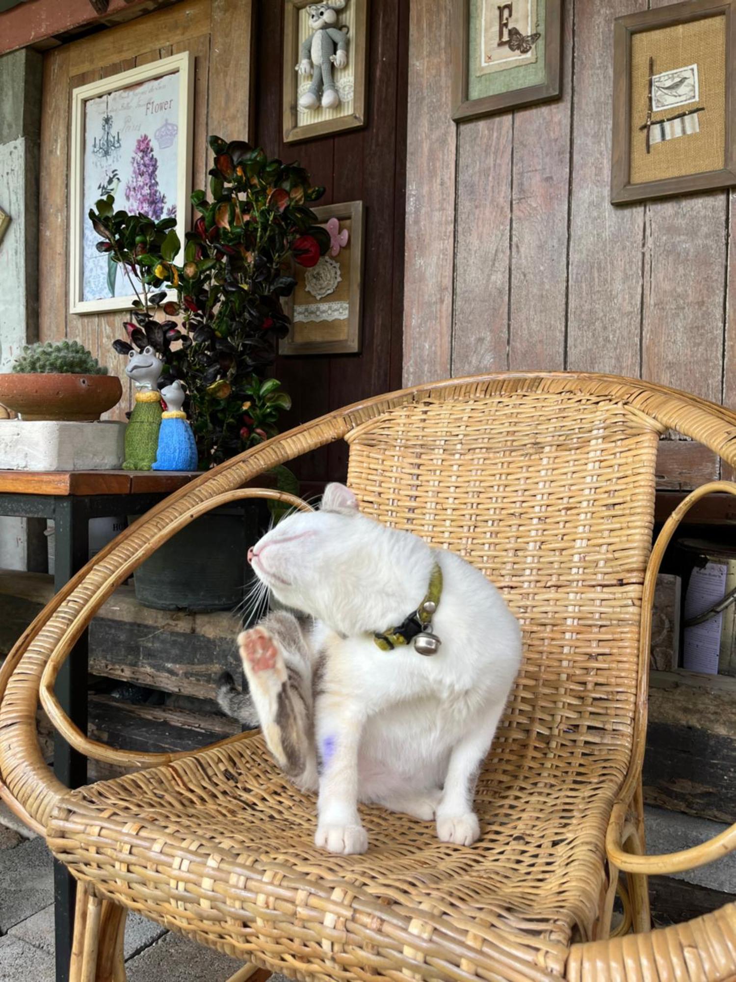 ครูหนูบ้านพัก แหลมงอบ Krunou Baanpak トラート エクステリア 写真