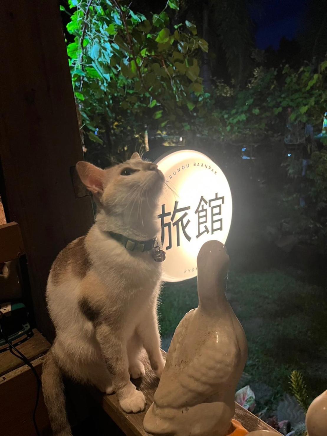 ครูหนูบ้านพัก แหลมงอบ Krunou Baanpak トラート エクステリア 写真